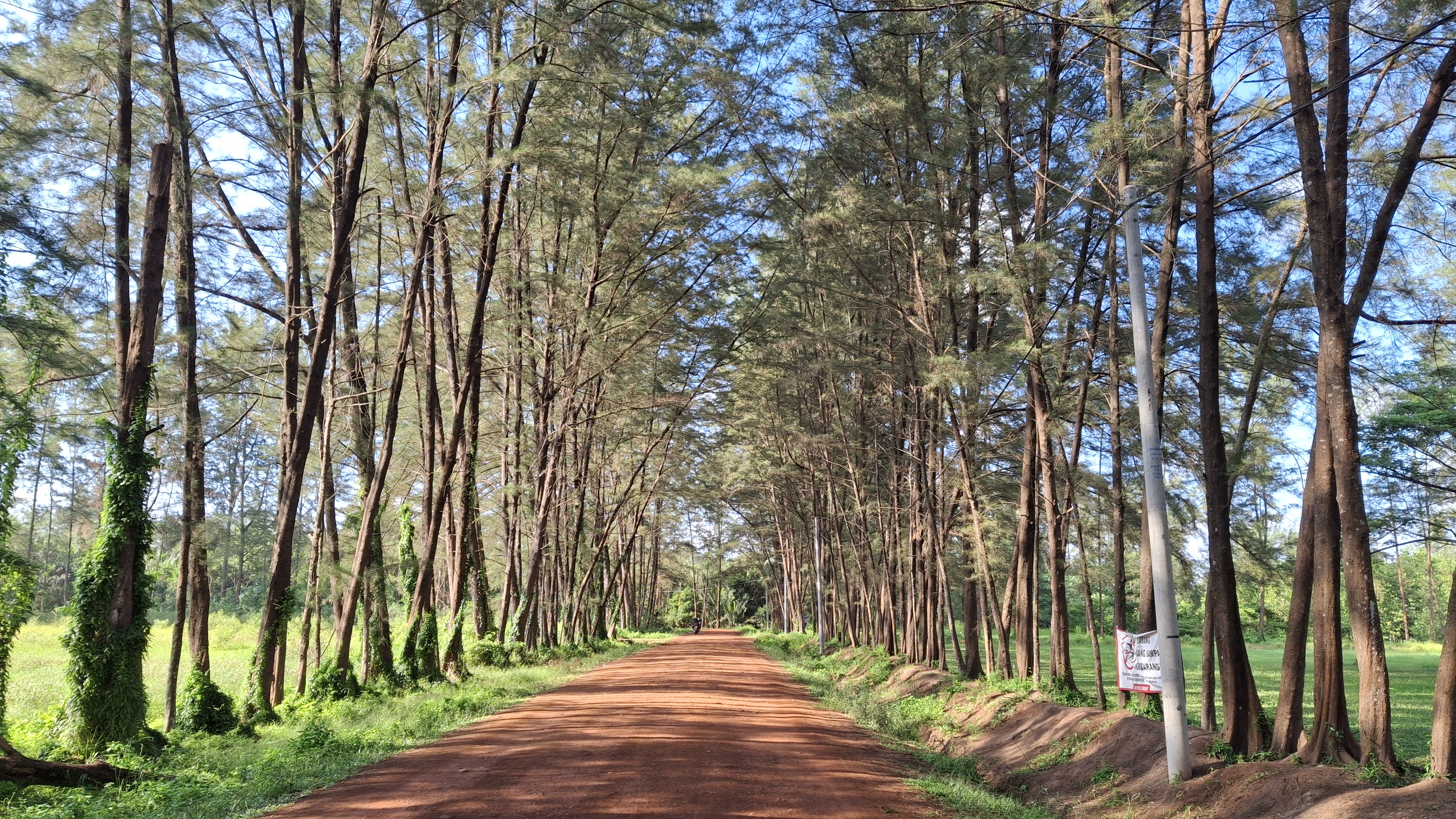 Bangka Botanical Garden